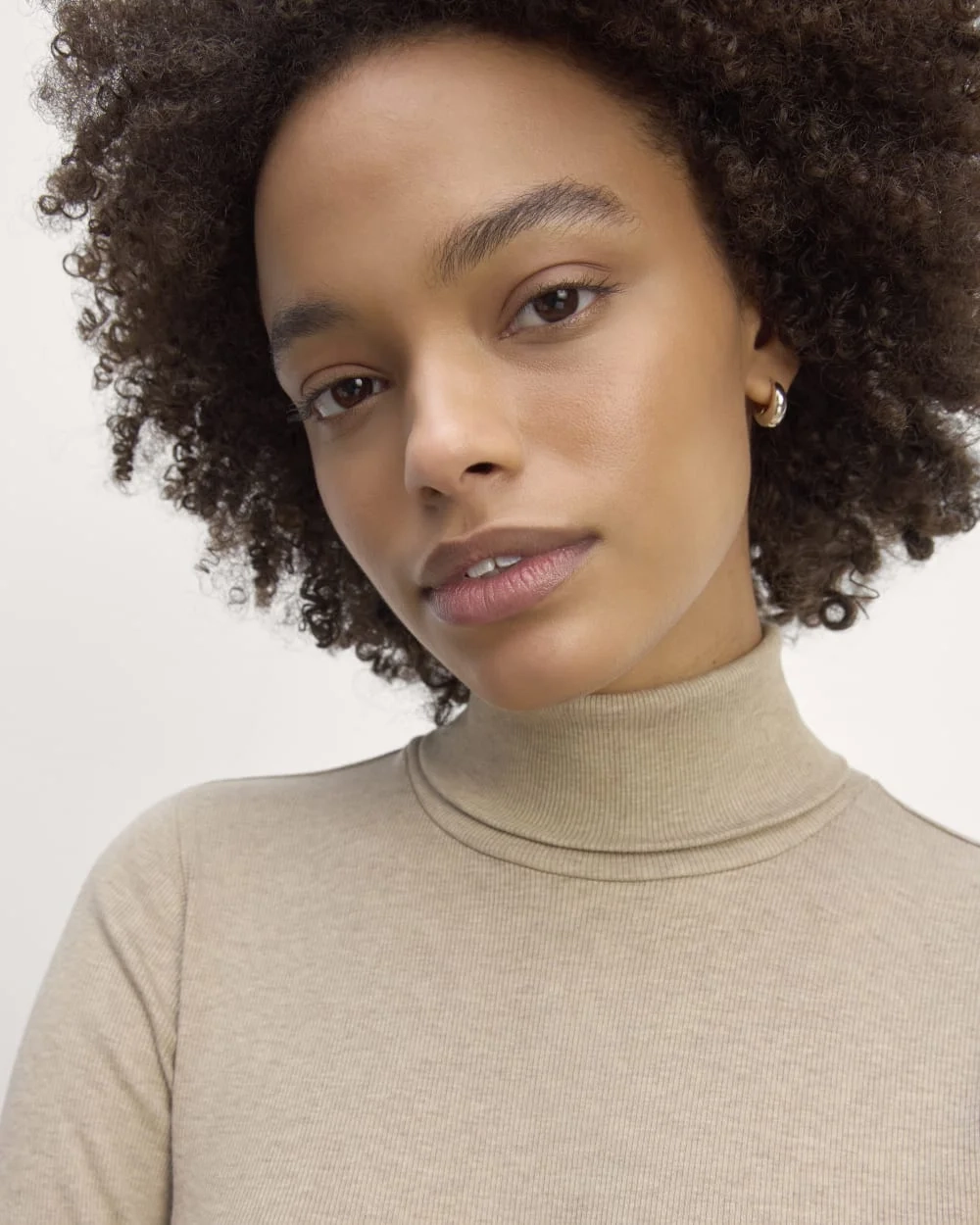 The Luxe Rib Turtleneck | Heathered Tan (2)