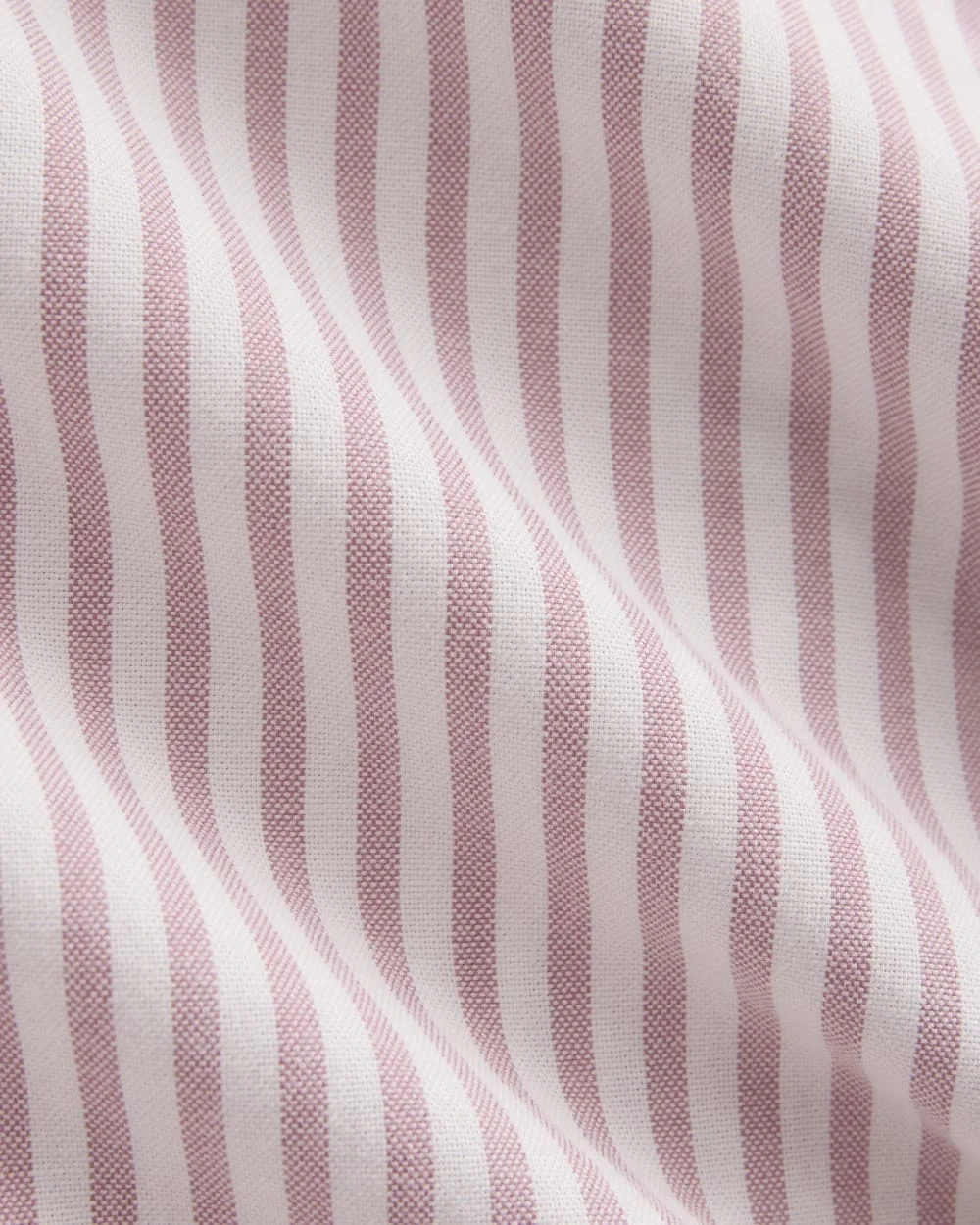Everyday Oxford Shirt | Bone/Heather Rose (2)