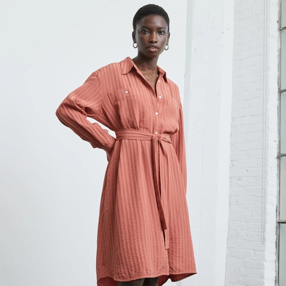 The City Stripe Draped Shirt Dress | Redwood (2)