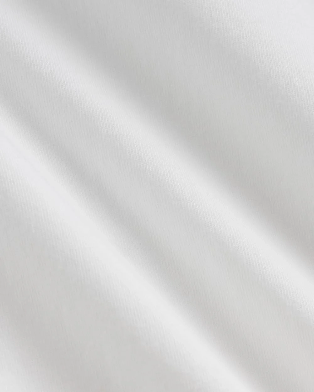 The Slim Long-Sleeve Crew in Essential Cotton | White (2)
