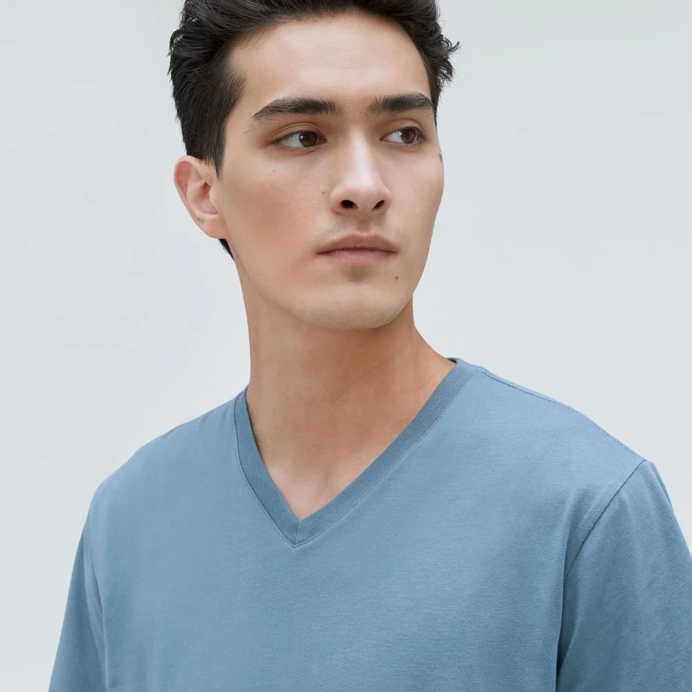 The Organic Cotton V-Neck Tee | Greyish Blue (3)