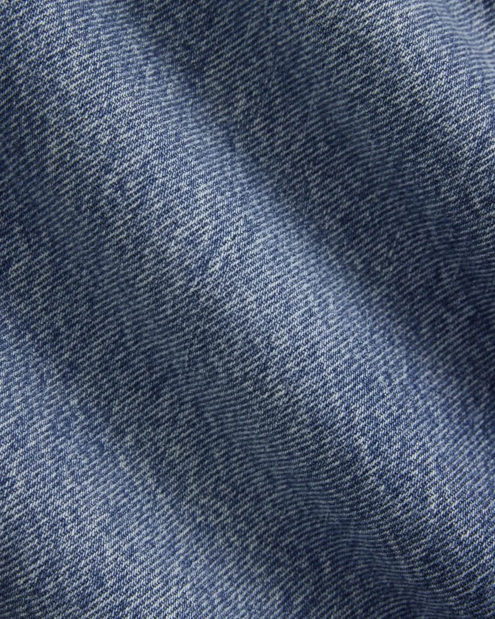 Everlane x Elena Bonvicini La Brea Low-Rise Baggy Jean | Blue Bird Indigo (6)