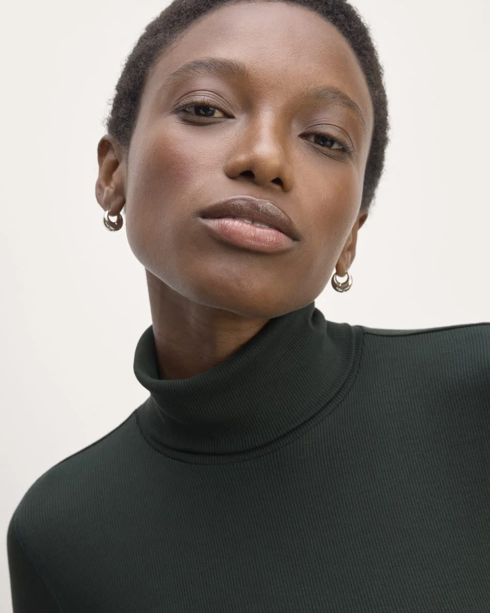 The Luxe Rib Turtleneck | Scarab (2)