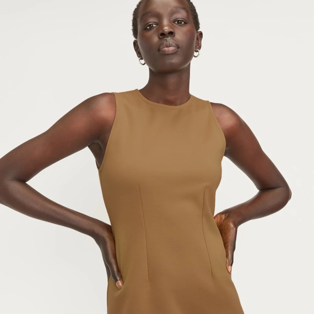 The Dream '90s Shift Dress | Toasted Coconut (2)