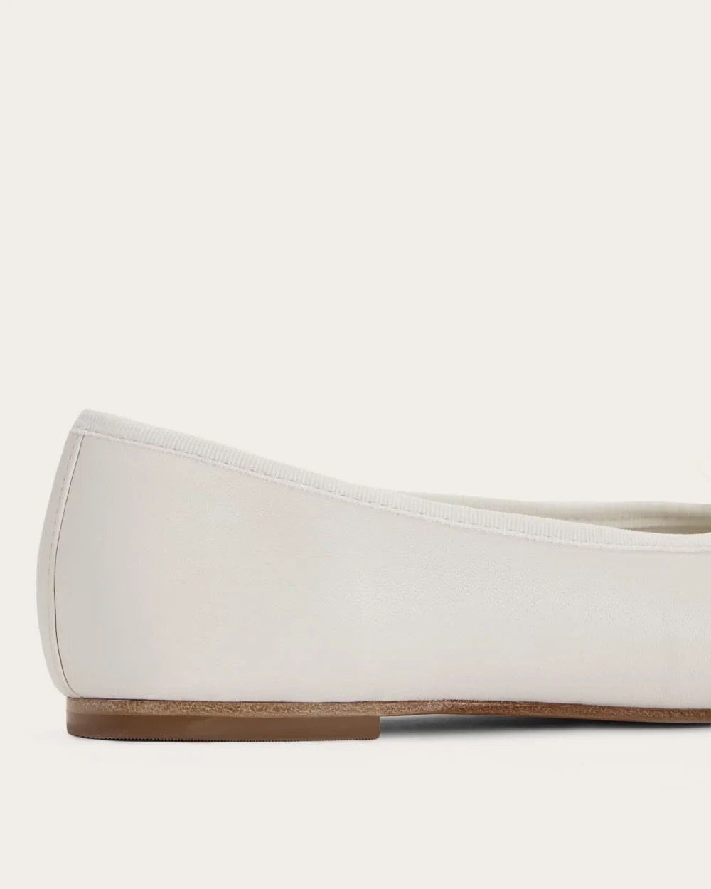 The Day Ballet Flat | Canvas (4)