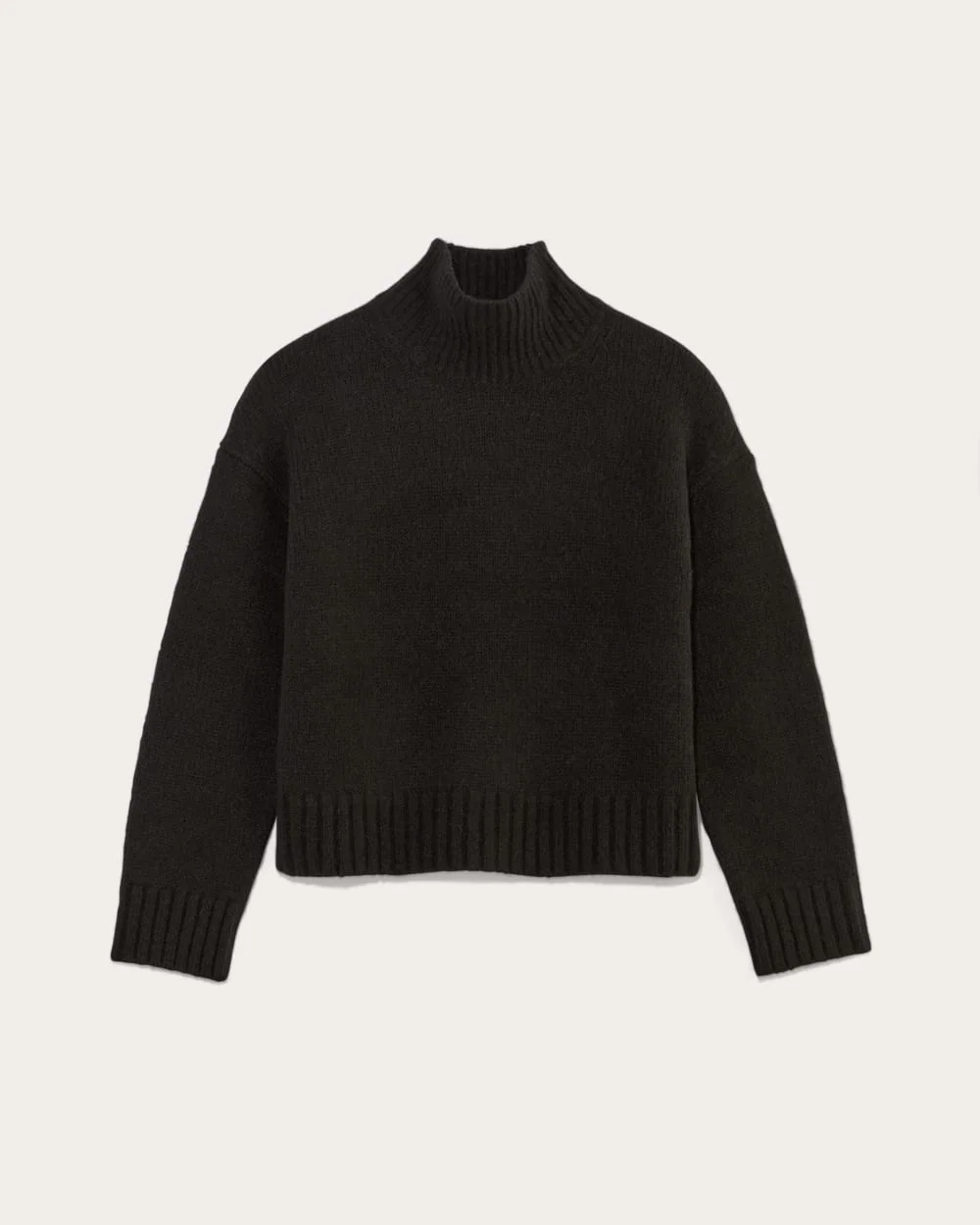 The Cloud Oversized Turtleneck | Black (3)