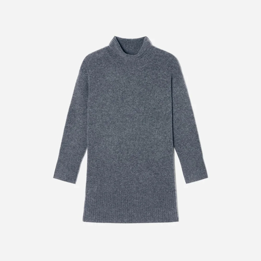 The Cozy Stretch Turtleneck Dress | Marin (2)