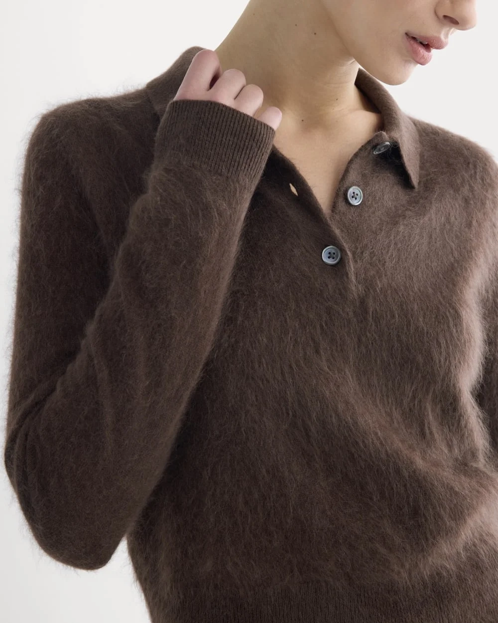 Lush Cashmere Cropped Polo Sweater | Raven (2)