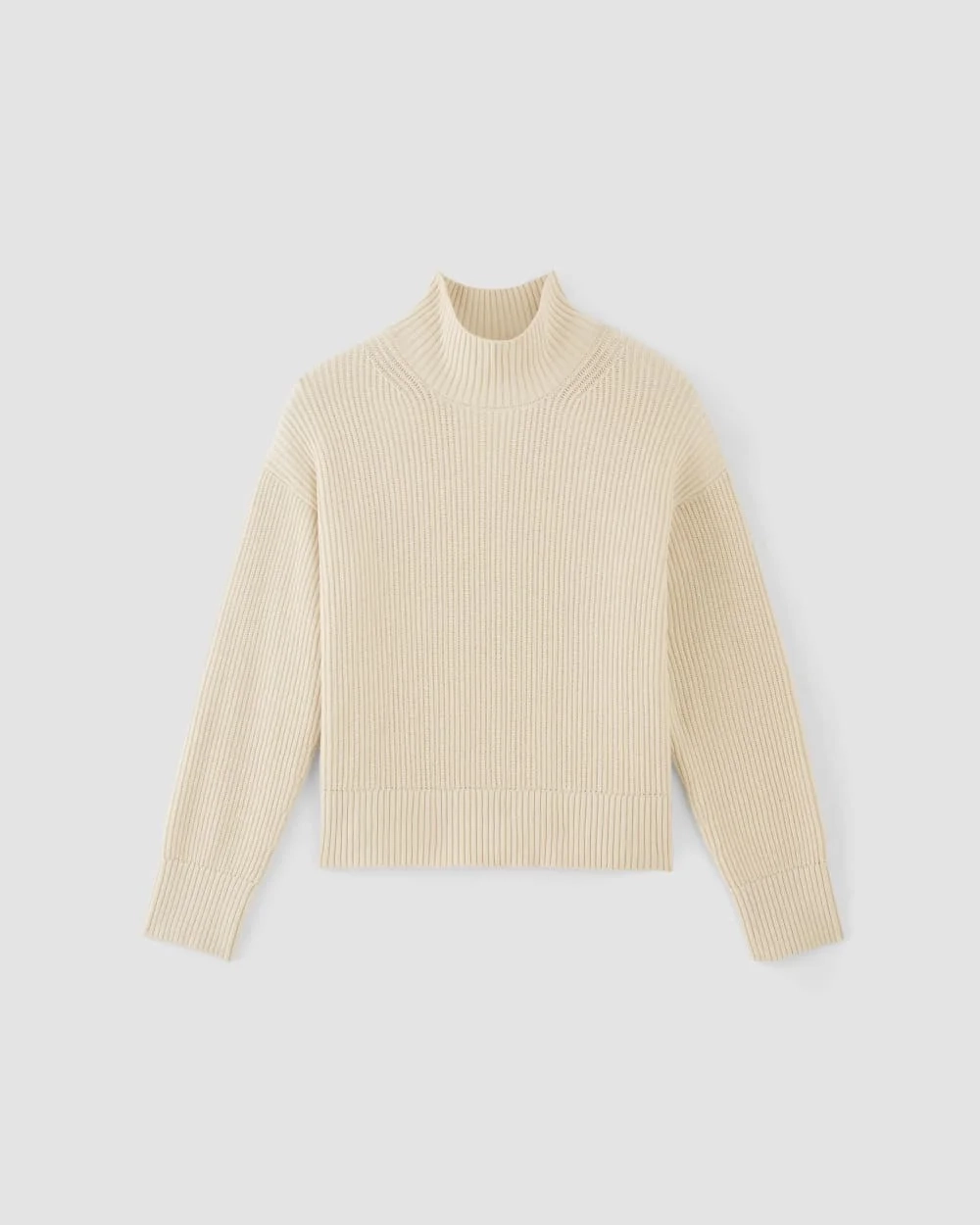 The Organic Cotton Ribbed Turtleneck | Canvas (2)