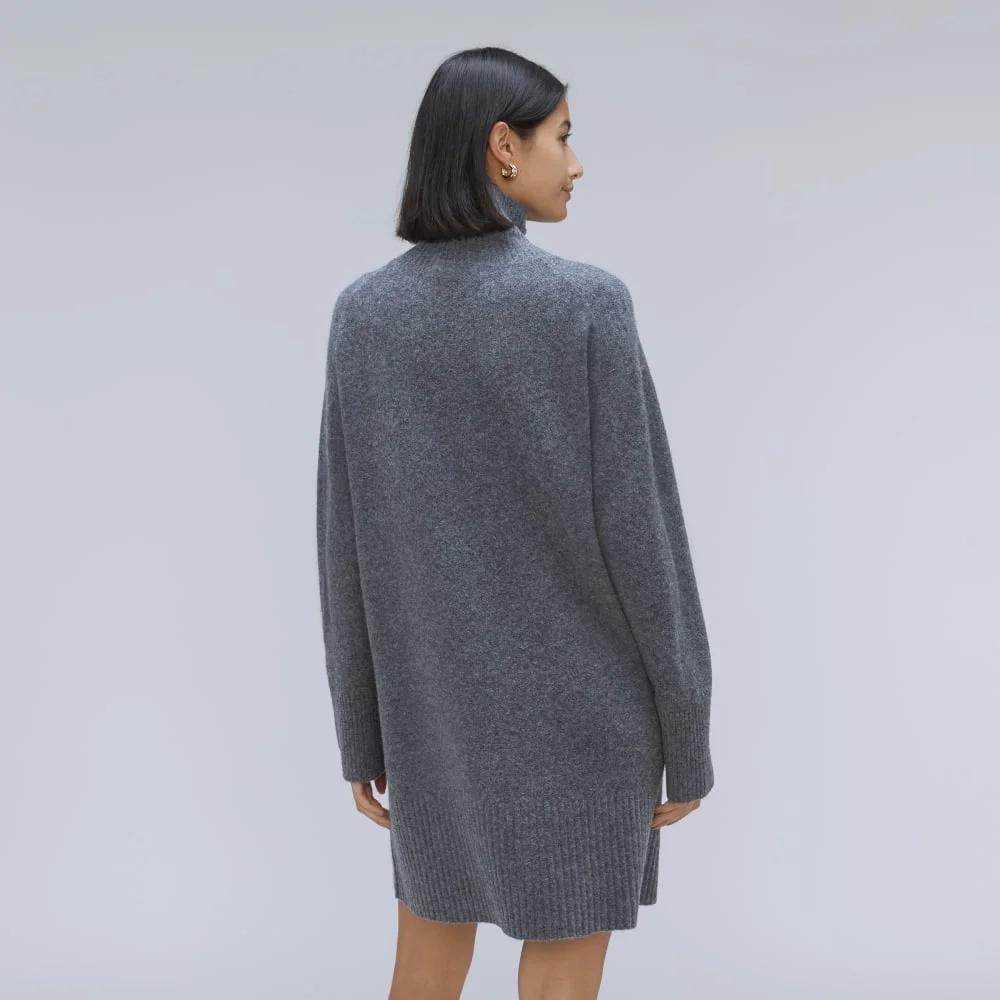 The Cozy Stretch Turtleneck Dress | Marin (3)
