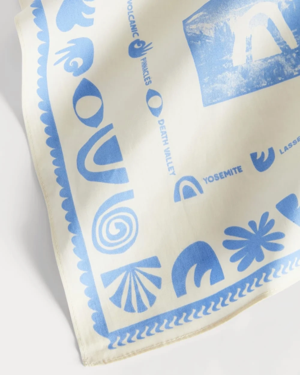 The Everlane x Parks Project Bandana | Birch (2)