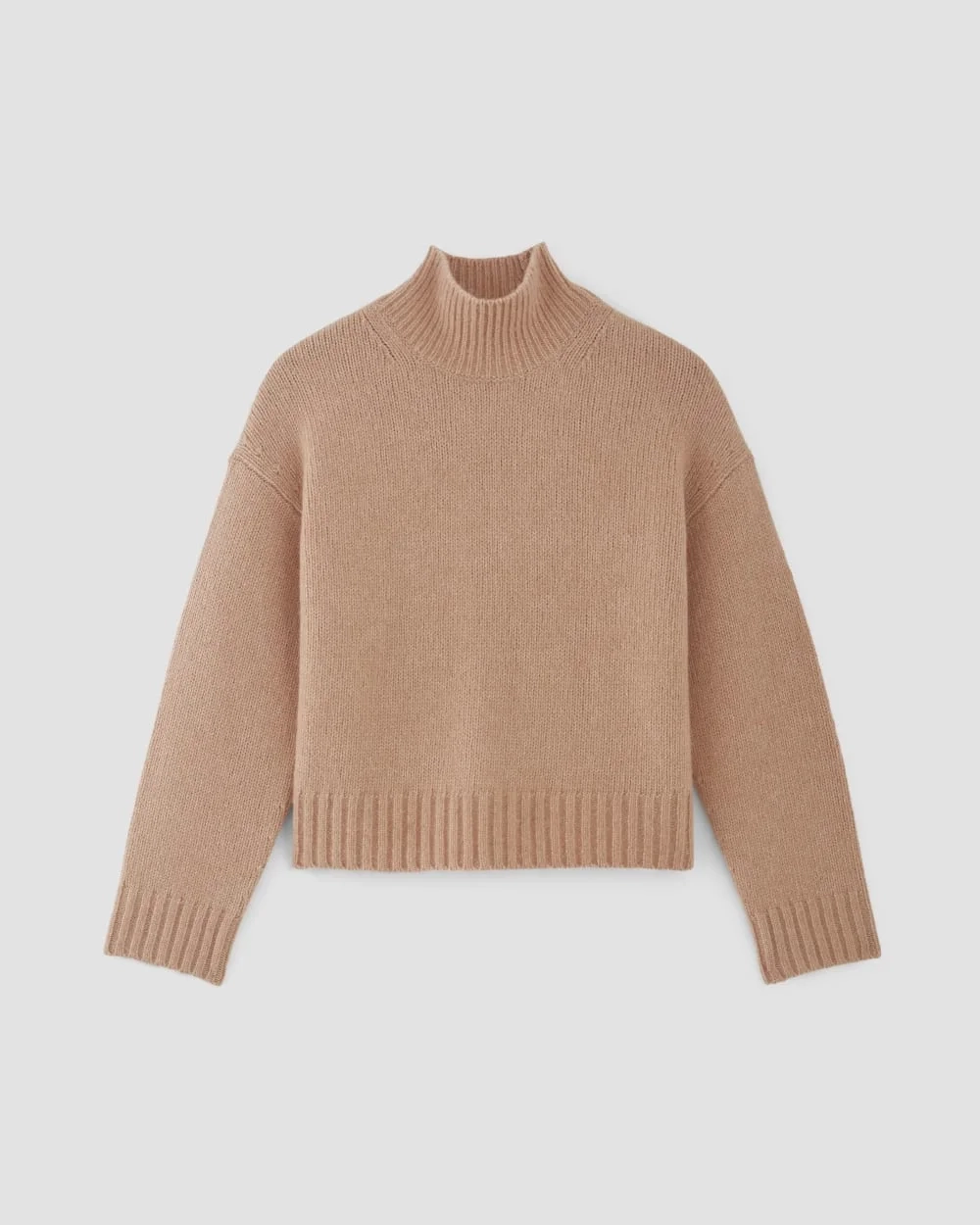 The Cloud Oversized Turtleneck | Blush Pink (5)