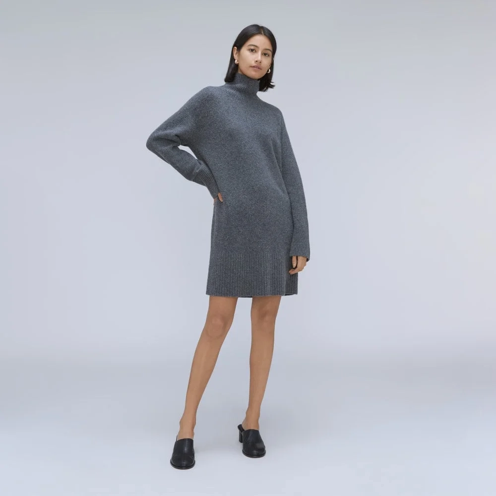 The Cozy Stretch Turtleneck Dress | Marin (4)
