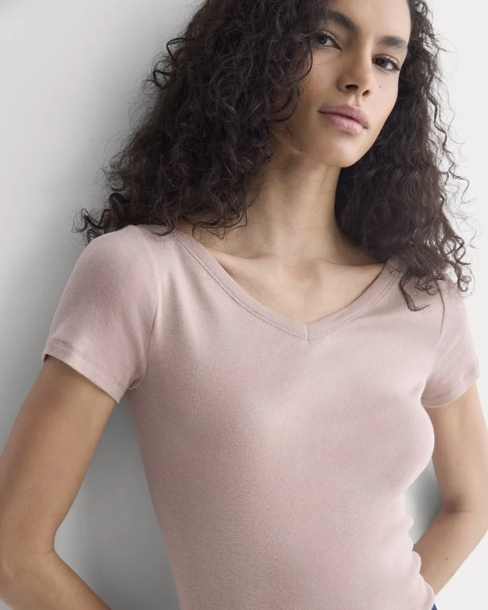Tissue Short-Sleeve V-Neck Top | Dusty Rose (3)