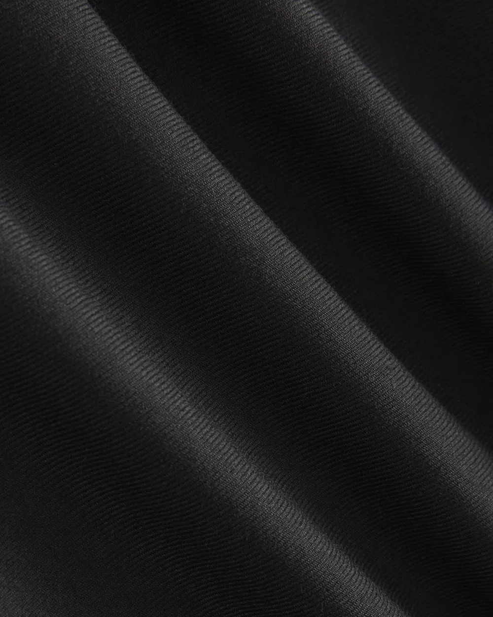 Pleated Trouser in Tailor Twill |  Black (5)