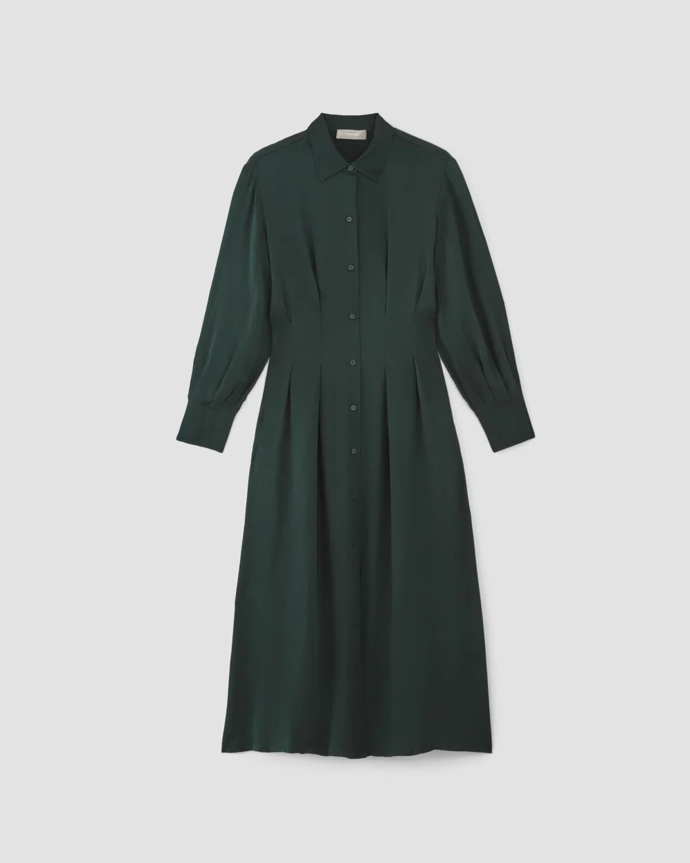 The Hammered Satin Shirt Dress | Scarab (3)