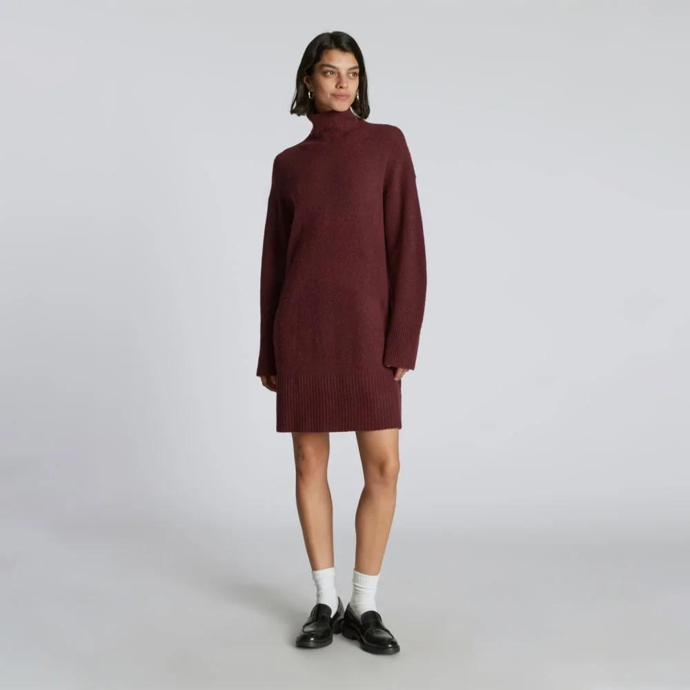 The Cozy Stretch Turtleneck Dress | Brandy (3)