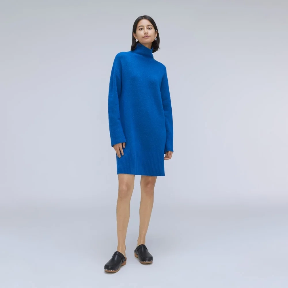 The Cozy Stretch Turtleneck Dress | Heathered Lapis Blue (4)