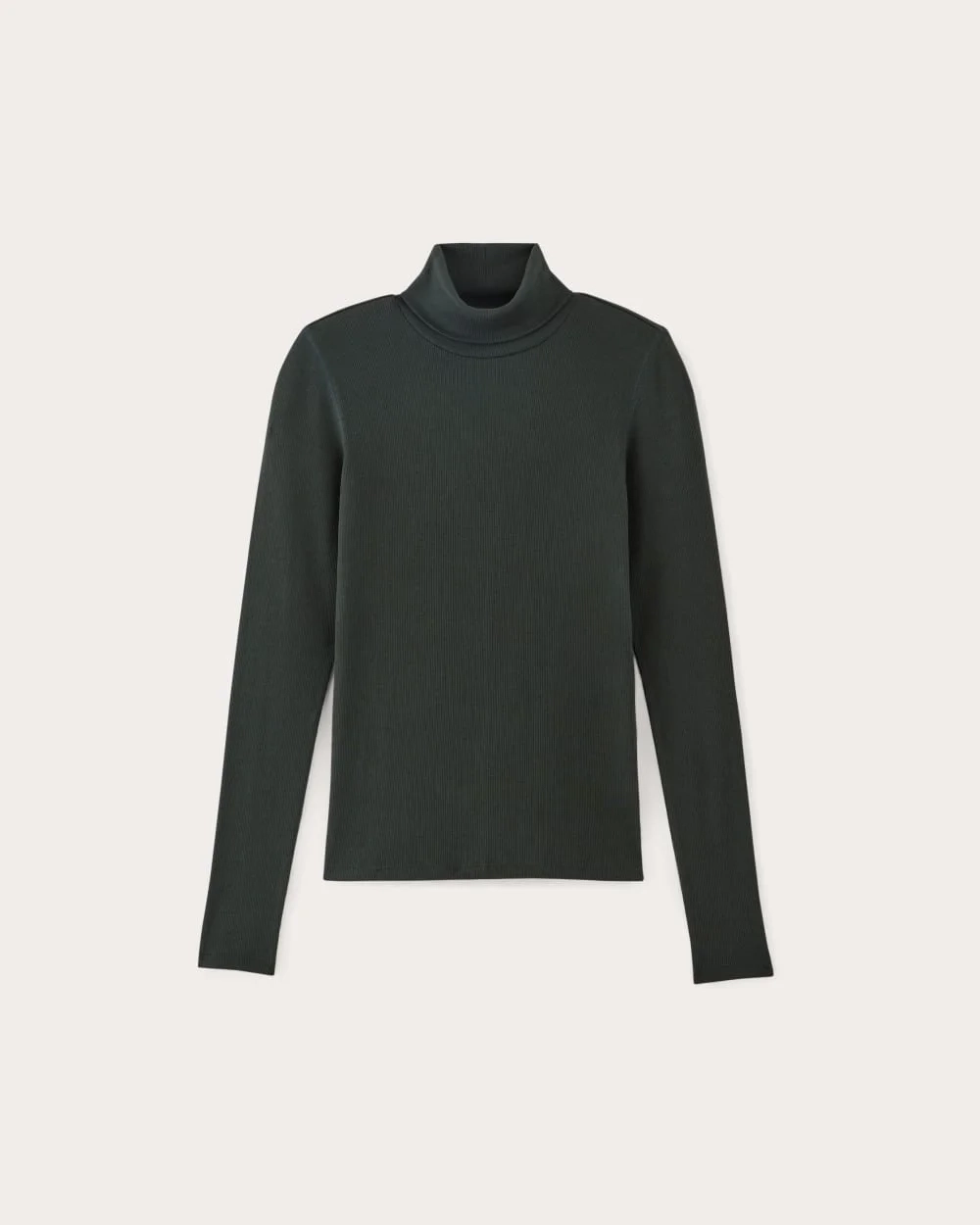 The Luxe Rib Turtleneck | Scarab (3)
