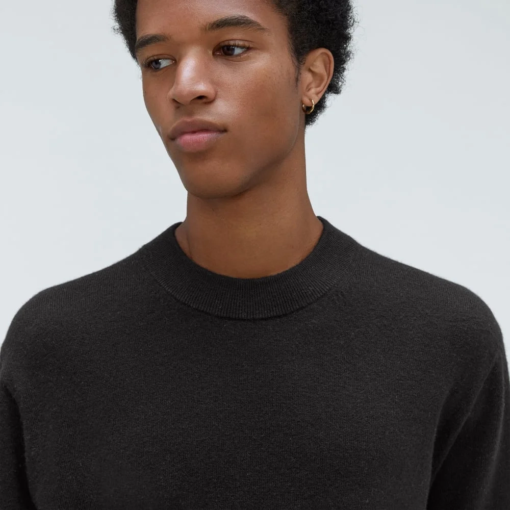 The Merino-Blend Crewneck Sweater | Black (6)