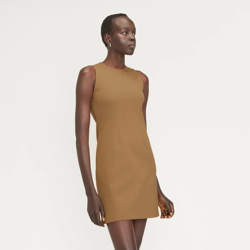 The Dream '90s Shift Dress | Toasted Coconut (3)