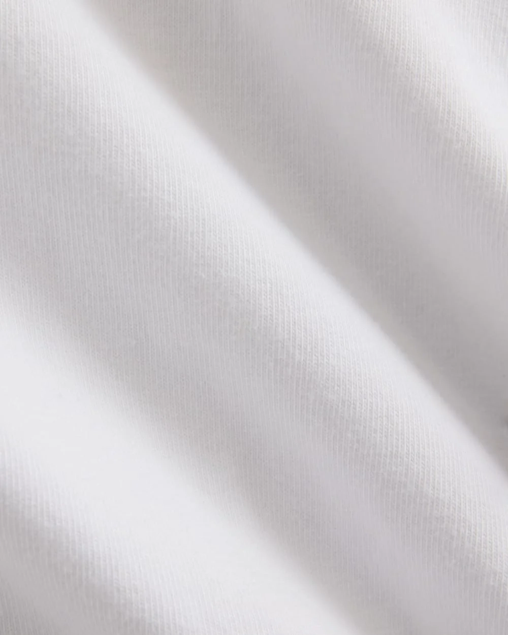 Everlane x Elena Bonvicini 73 Tee | Whitecap (4)