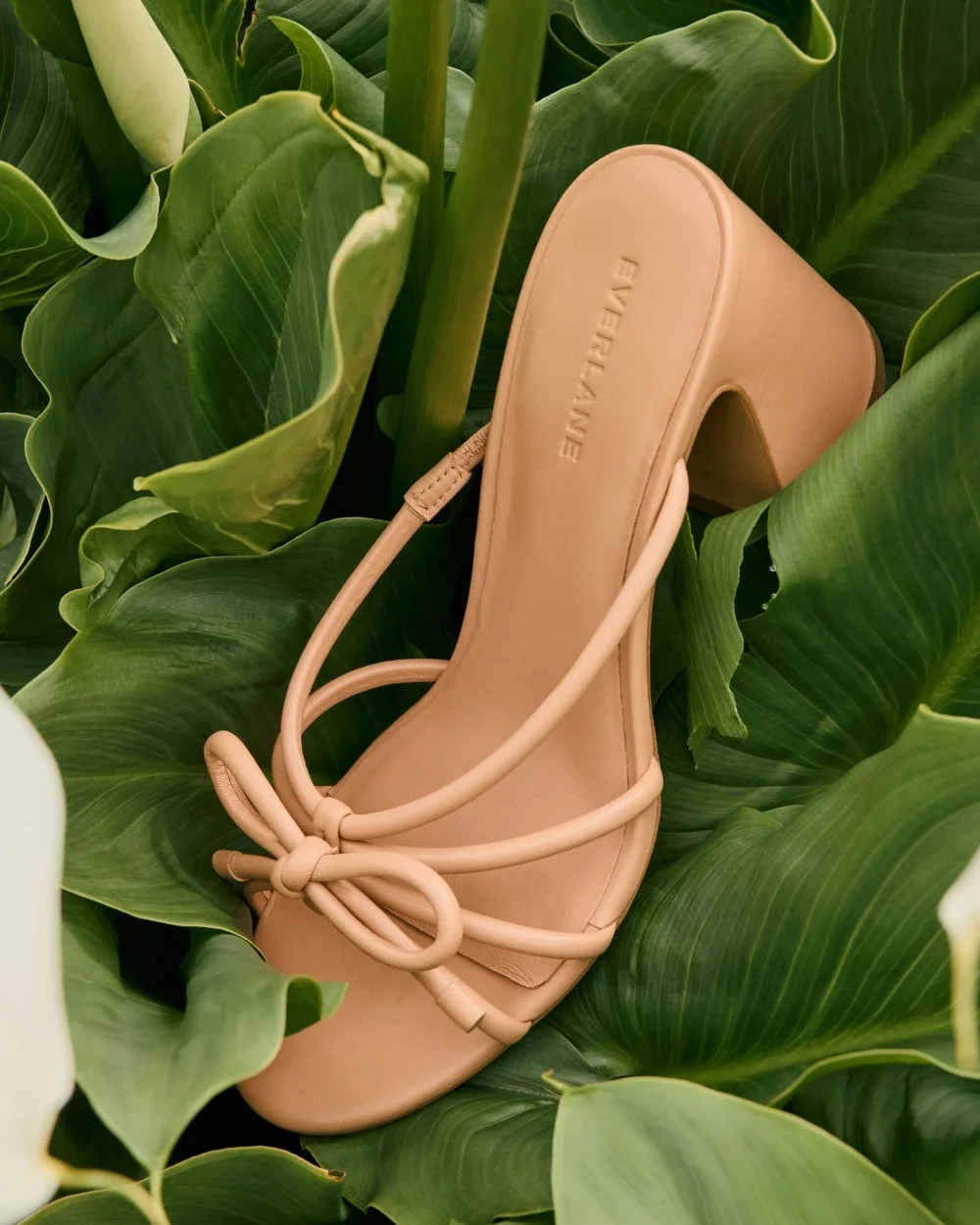 The Bow Heel | Blush Tan (4)